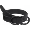 Pikeur Belt Sports Leather Black -Pikeur Shop pikeur pik 482000 319 290 f.c51ae3